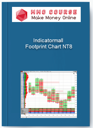 Indicatormall – Footprint Chart NT8 Indicatormall – Footprint Chart NT8