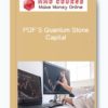 PDF´S Quantum Stone Capital