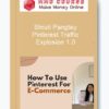 Shruti Pangtey – Pinterest Traffic Explosion 1.0