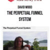 David Wood – The Perpetual Funnel System