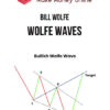 Bill Wolfe – Wolfe Waves