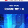 Feibel Trading – Tick Chart Mastery