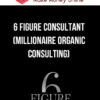 6 Figure Consultant (Millionaire Organic Consulting)