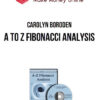 Carolyn Boroden – A to Z Fibonacci Analysis