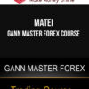 Matei – Gann Master Forex Course