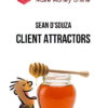 Sean D'Souza – Client Attractors