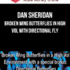 Dan Sheridan – Broken Wing Butterflies in High Vol with Directional Fly