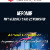 Aeromir – Amy Meissner’s AIC-22 Workshop