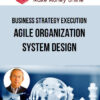 Business Strategy Execution-Agile Organization System Design