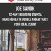 Joe Sanok – 12-Part Blogging Course: Rank Higher in Google and Attract Your Ideal Client