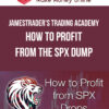 JamesTrader's Trading Academy – How to PROFIT from the SPX Dump