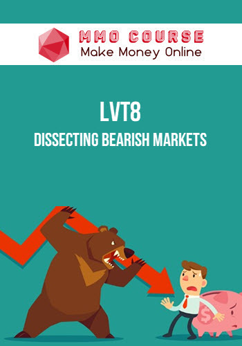 LVT8 – Dissecting Bearish Markets