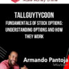 Tallguytycoon – Fundamentals of Stock Options: Understanding Options and How they Work