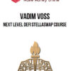 Vadim Voss – Next Level DeFi StellaSwap Course