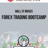 Wall St Moses – Forex Trading Bootcamp